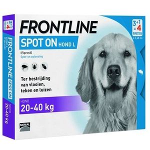 Frontline Hond Spot On Large