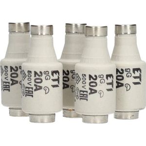 Kopp 20A traag zekering DII 5 in een doosje