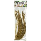 Back Zoo Nature French Millet Sprays Yellow