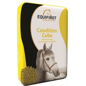 Equifirst Condition Cube