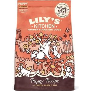 Lily's Kitchen Dog Puppy Chicken / Salmon