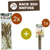 Back Zoo Nature Setaria Italica - Trosgierst - Inclusief houder