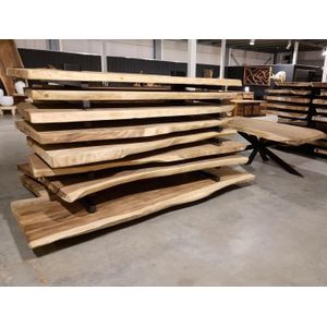 Suar boomstam blad Maat 300cm