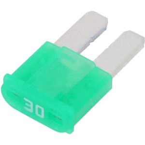 Micro2 Autozekering - 30 Ampere - Groen - 10 stuks