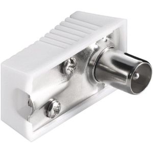 COAX plug Male Budget