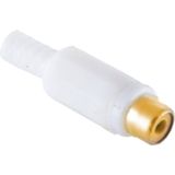 Soldeerbare Mono Tulp Connector (v) - Verguld - Wit