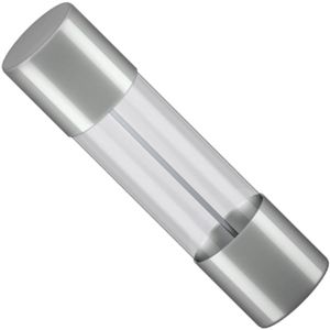Glaszekering - 8 Ampere - 5 x 20mm - Snel - 10 stuks