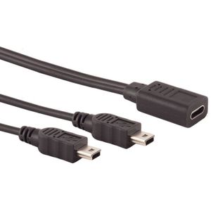 USB-C (v) - 2x Mini USB-B (m) Kabel - Y-split - USB 2.0 - 0,3 meter - Zwart