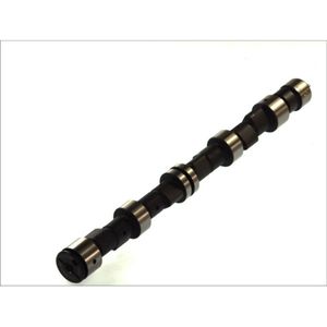 Nokkenas  AE CAM359