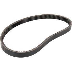 V-riem OPTIBELT 1001463AP