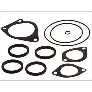 Pakkingset, waterpomp DT Spare Parts 2.91534