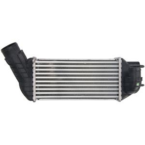 Intercooler THERMOTEC DAC019TT