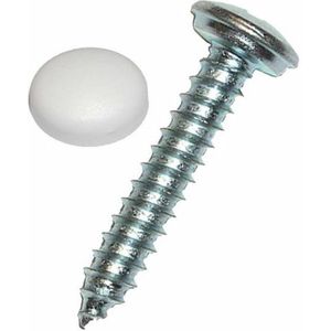 Gegalvaniseerde schroef met gleuf DRESSELHAUS 4628/001/51 4,8X32