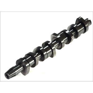 Nokkenas  AE CAM904