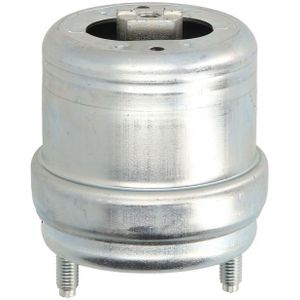 Motorsteun REINHOCH RH11-0054 rechts