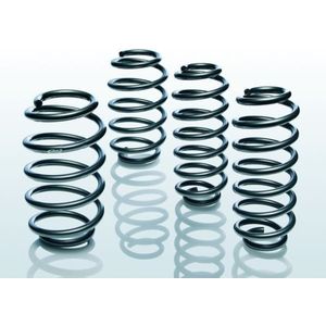 Ophangveer, enkele veer Pro-set EIBACH F2069001