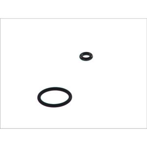 Multipoint injectie-element (injector O-ring, set) HANS PRIES 100 736