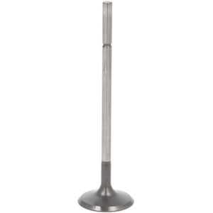 Uitlaatklep TRW 105-35662