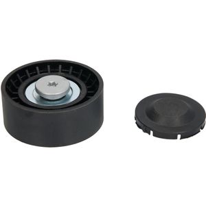 Rondsel/geleiderpoelie, V-riem BTA E2B0068BTA