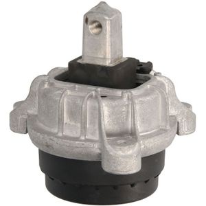 Motorsteun REINHOCH RH11-3047 links