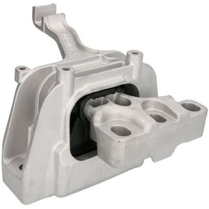 Motorsteun REINHOCH RH11-0093