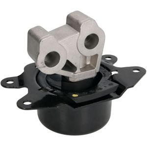 Motorsteun REINHOCH RH11-5065 links