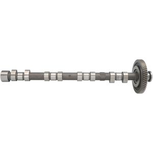 Nokkenas  AE CAM974