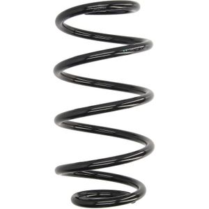 Chassisveer MAGNUM TECHNOLOGY SW171MT