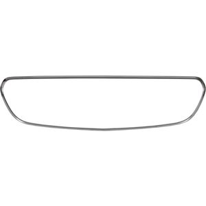 Sier- / Beschermingspaneel, radiateurgrille BLIC 6502-07-3531995P