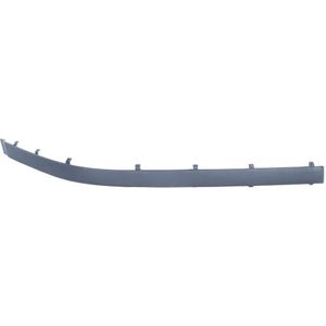 Sierlijst/beschermstrip, bumper BLIC 5703-05-0065924P rechts