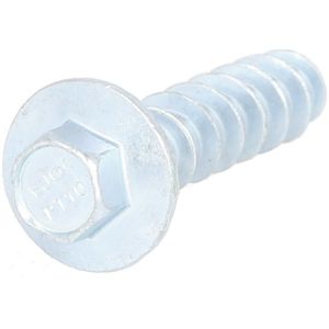 Schroef PETERS 065.103-00A