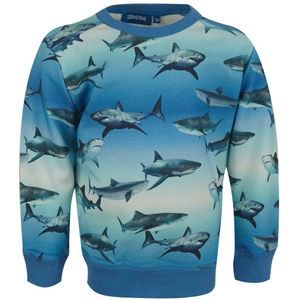 Jongens sweater - Wally-SB-16-C - Blauw