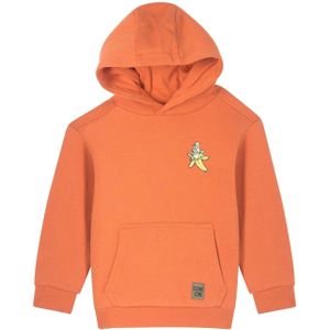 Jongens sweater - Oranje