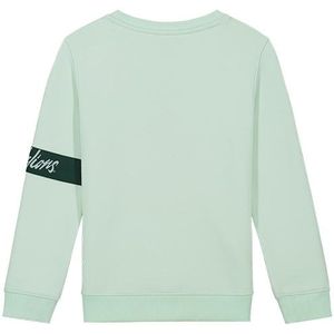 Sweater captain 2.0 - Mint / Donker groen