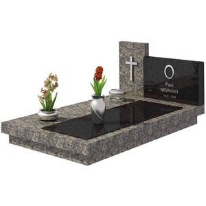 Kamelia - Grafset D - Lantaarn, Vaas, Pantenbak - Matzilver of Bronskleur