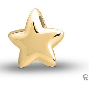 Atlantis Memorials Ashanger Big Star Gold