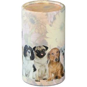 Middelgrote Bio Eco Urn of As-strooikoker Honden (0.7 liter)