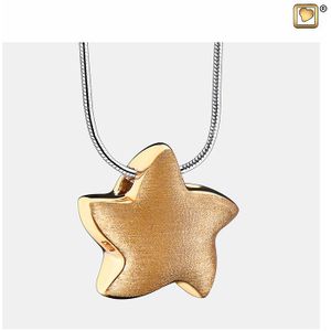 LoveUrns - Ashanger Ster Bicolor - Verguld - Handgemaakt - Slijtvast Rhodium