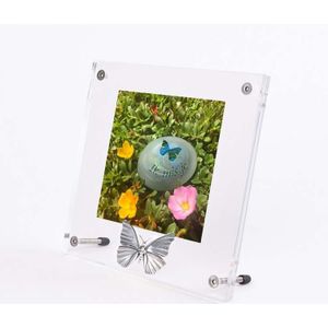 Plexiglas Fotolijst met Zilvertinnen Asvlinder (0.005 liter)