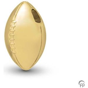 Ashanger American Football Goud