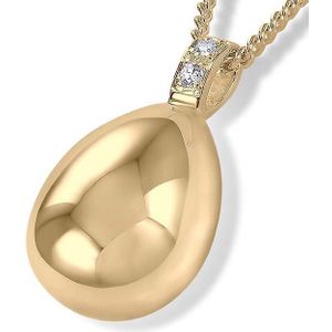 Gouden Druppelvormige Ashanger inclusief Collier