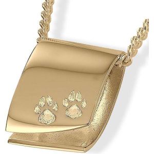 Gouden Design As Sieraad Pootafdrukjes