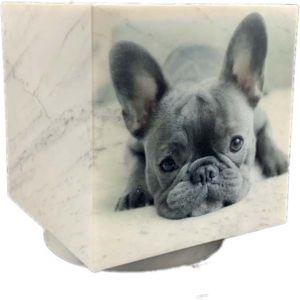Cubos Honden Urn, Folieprint Zwartwit Eigen Hond (0.3 liter)