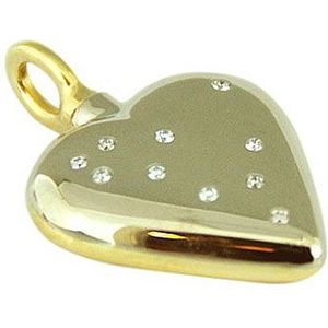 Bicolor Gouden Ashanger Mooi Hart, 10 Diamantjes