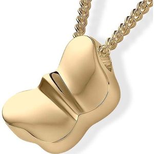 Gouden Ashanger Vlinder inclusief Collier