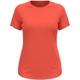 T-Shirt Crew Neck S/S M