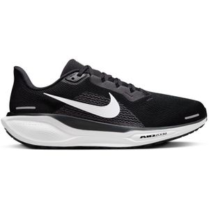 Pegasus 41 13.0
