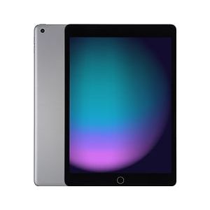 Apple - iPad - 128 GB - Grijs