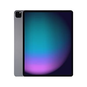 Apple iPad Pro 12,9 256GB [wifi, model 2021] spacegrijs