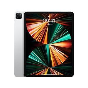 Apple iPad Pro 12,9 256GB [wifi, model 2021] zilver